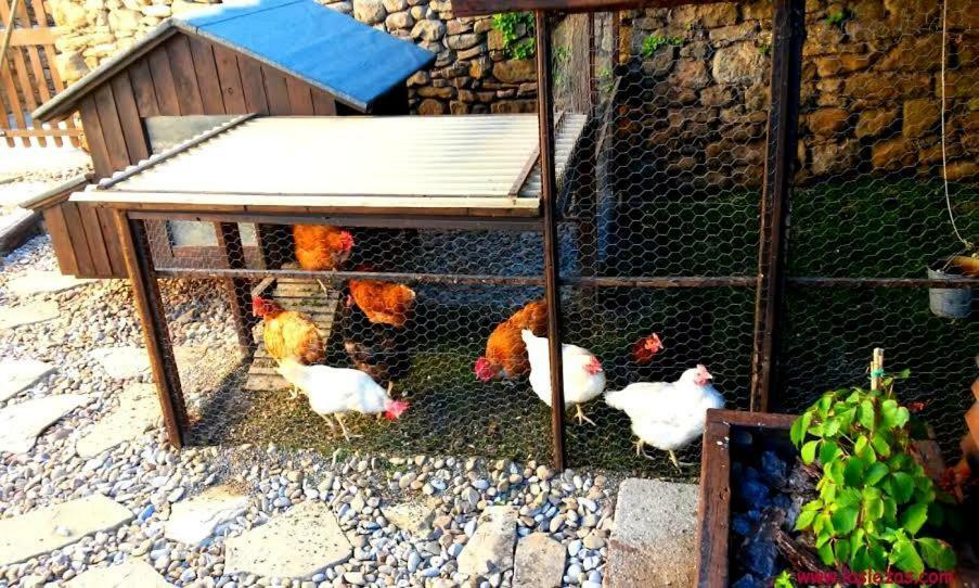 Casa Rural Las Lezas Biel ห้อง รูปภาพ
